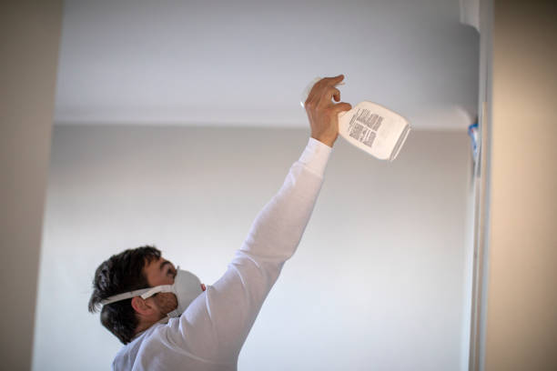 Best Kitchen Mold Remediation in Shelbyville, KY