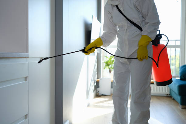 Best Residential Mold Remediation in Shelbyville, KY