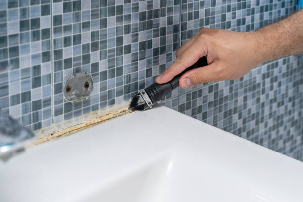 Best Residential Mold Remediation in Shelbyville, KY